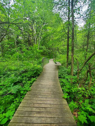 Further Afield Walks + Hikes