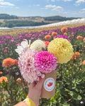 Pilates & Posies - Friday 21st August 6pm Onwards @ Manor Farm Fruits Tamworth