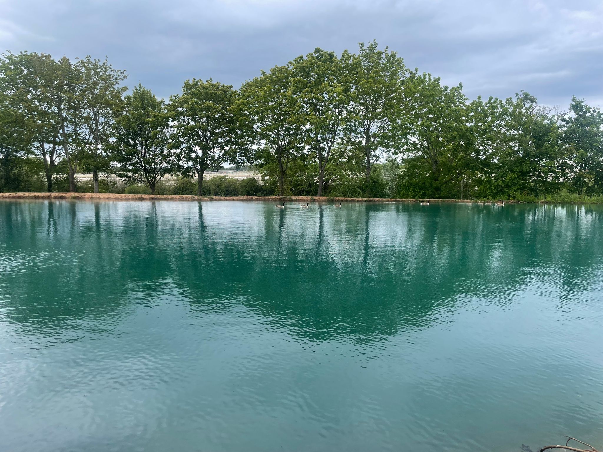 Lakes at Lavender Hall: Sound, Swim, Sauna - Friday 4th September 6.30-9pm